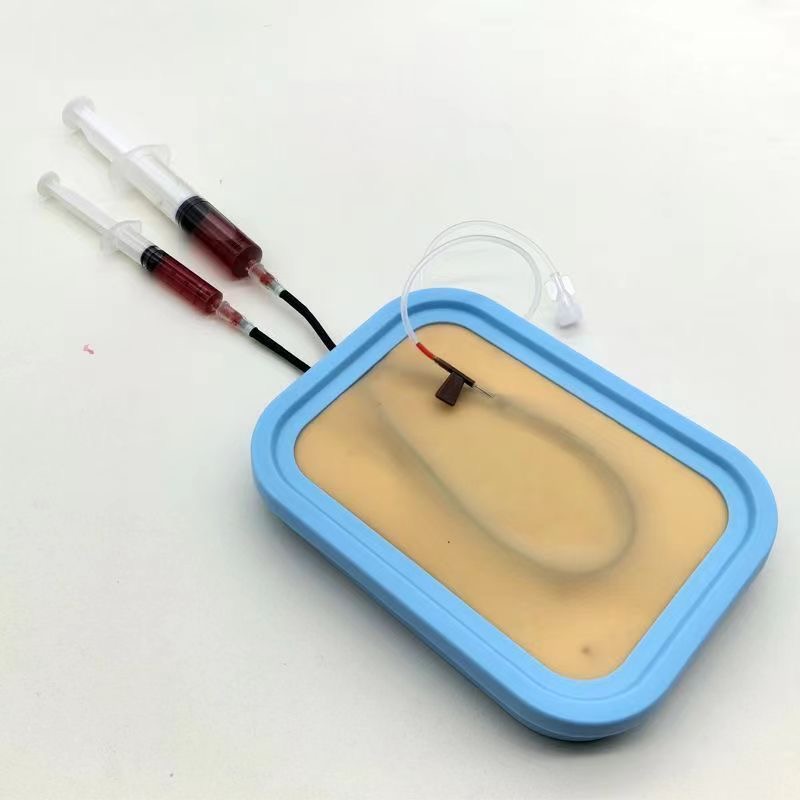Kit di addestramento per venip - Model Kit Store recensione e prezzo
